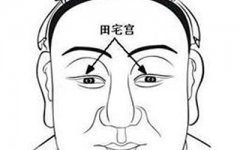 风水相术分析田宅宫的部位长痣有什么含义？