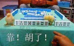 今日打麻将赢钱方位 2020年1月17日较佳方位