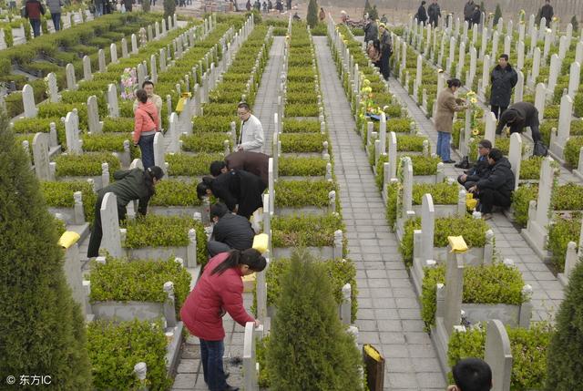 1579236324102454.jpg 1532142441029c7261c22b2.jpg