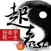 公司起名取名常用吉祥字大全,公司名字大全宝典
