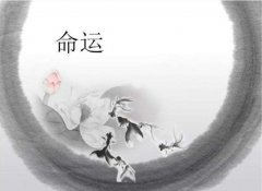 易经算命生辰八字对命运的影响程度