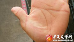 断掌手相好吗？男儿断掌值千金，女儿断掌爹娘养是什么意思？