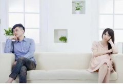 配对算命龙狗相冲如何化解？