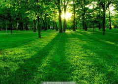 五行缺木是什么？八字命理五行缺木是什么命？