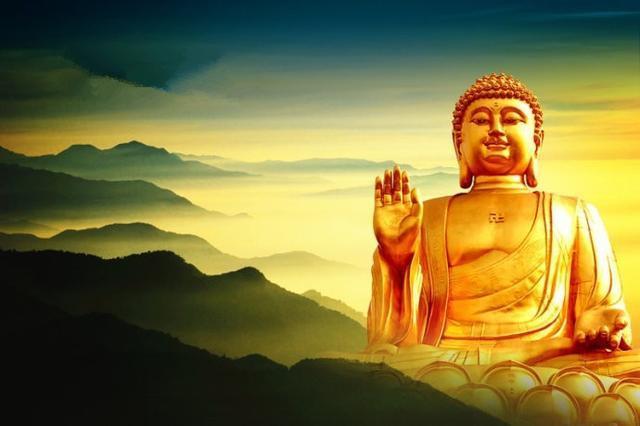 1584167773335992.jpg 11160003bd22590e7b35.jpg