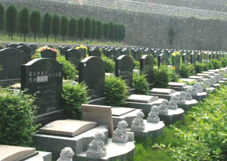 1585056819933918.jpg 201912271577432203772861.jpg