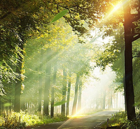 住宅风水学:采光比较好的房子对人运势有什么影响