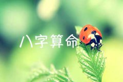 周易算命大全：八字干支间的相互作用关系