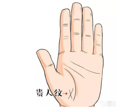 手相算命图解:女人有钱有权的手相是怎样的?手相上有什么区别