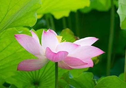 1592312849125338.png image.png