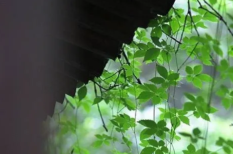 批生辰算婚姻_七杀”旺而为忌，常被人欺，小人多