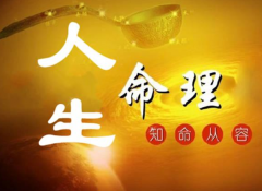 周易八字测算_乙丑辛巳丙辰乙未_2020年正财星临旺事业财运更近一层的八字！