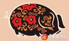 2007年出生的属猪人是什么命？生肖算命2020年学业如何