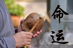 八字命理_八字中食神格的特点分析