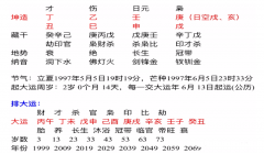 八字在线测算_丁丑乙巳壬申庚戌感情的先苦后甜