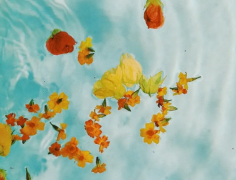 周易生辰八字算命_聪明的八字身旺又有将星