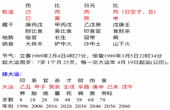 八字算命法_己巳丙寅丙辰丙申八字火太旺