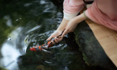 生辰八字算命_分析八字水多水旺的命理特征