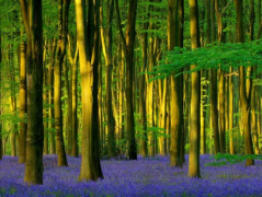 生辰八字算命_没有时辰_能测出生命吗？