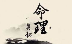 四柱八字排盘_八字身弱财旺_伤官也旺的她命运究竟如何？