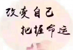 八字在线测算_壬戌甲辰庚申庚辰女人生巅峰指日可待