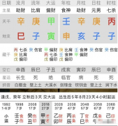 批八字算命_壬申辛亥庚子丙丁男未来事业发展空间