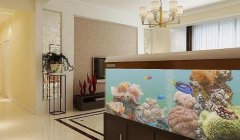 周易风水_养鱼风水催旺财运运势的方法