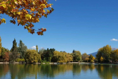 周易八字测算_解析女人得到哪三刑_对怀孕要孩子有不顺利之事