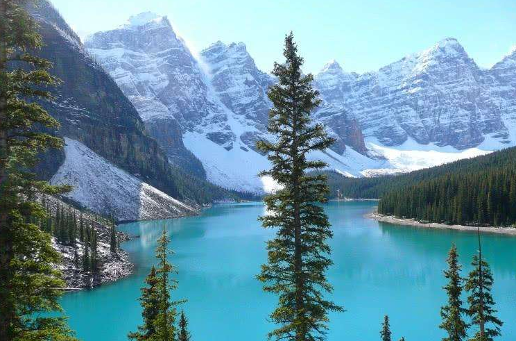 1592890793694877.png image.png