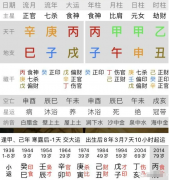 四柱八字排盘_母亲丙子甲午甲申乙丑左腿股骨断开手术成功率高么