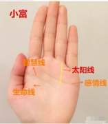 手相怎么看财运_从手相上看你能不能迎来人生的事业高峰