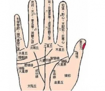 手相怎么看财运_掌为根基纹为时运_你的运势会是怎样的呢？