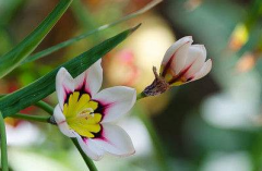 批八字算命_2021年己巳乙亥庚子己卯防婚变,要有心理准备！可预防！