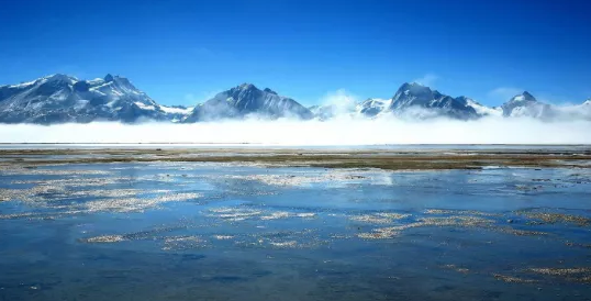 1592928265110759.png image.png