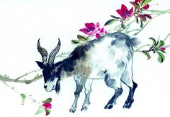 属羊的人贵人是哪个属相的人？生肖算命哪个方向遇贵人