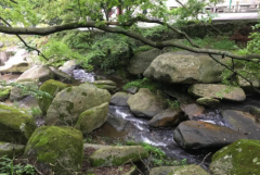 生辰八字算命_辛酉庚子壬午庚戌为何2020年元旦开始工作之路比较艰辛