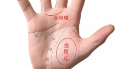 手相算命_金星丘饱满的人异性缘怎么样