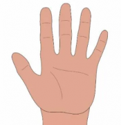 手相算命_解析手掌特征所代表的含义
