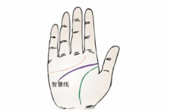 手相怎么看财运_具备双重智慧线的女性在事业上的运势会怎么样？