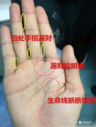 手相怎么看财运_从手相看你命中的他或她能否存住钱