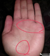 看手相算命_手相坎宫位乱纹容易犯情商的手相