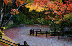 八字在线测算_八字讲解男命中情感婚姻的暗示