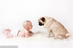 1989年生肖属蛇的人命运怎样？时辰八字算命1989年出生是什么命