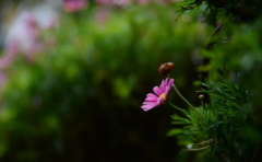 周易生辰八字算命_八字看人之性格如果知晓别人的性格就可以更好的和别人去