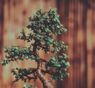 周易生辰八字算命_从四柱中看出人的性格是善是恶是好是坏