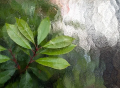 生辰八字算命_八字中带沐浴的人特征,做事情爱凭直觉