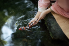 生辰八字算命_中年有壮志的冠带命格_进取心强