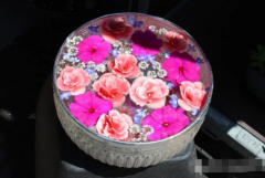 生辰八字算命_盛极欲衰在十二运帝旺八字中的意思