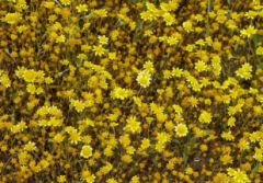 生辰八字算命_十二运绝无形无象中年后财运不错