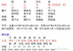 周易八字测算_快要大学毕业了毕业后的事业运势如何